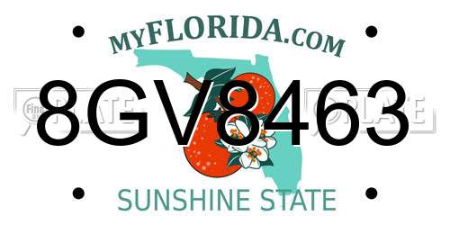 8GV8463 Florida License Plate