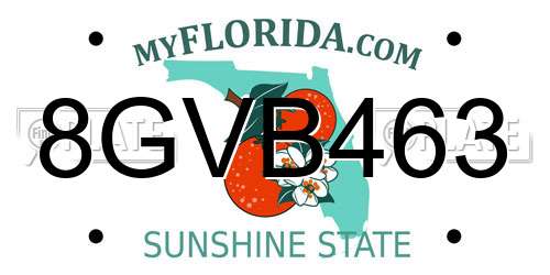 8GVB463 Florida License Plate