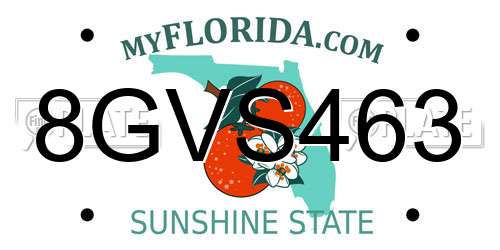 8GVS463 Florida License Plate