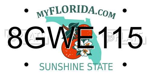 8GWE115 Florida License Plate
