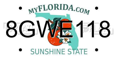 8GWE118 Florida License Plate