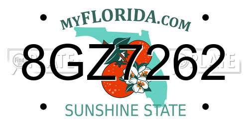 8GZ7262 Florida License Plate