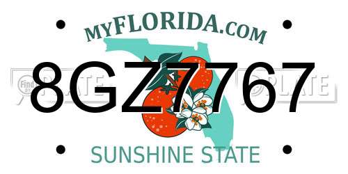 8GZ7767 Florida License Plate