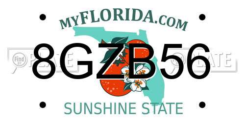 8GZB56 Florida License Plate