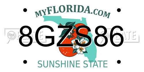 8GZS86 Florida License Plate