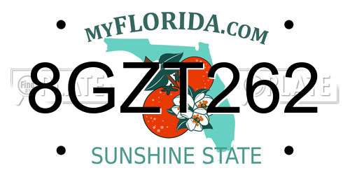 8GZT262 Florida License Plate