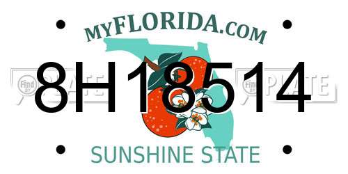 8H18514 Florida License Plate