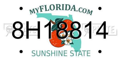 8H18814 Florida License Plate