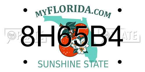 8H65B4 Florida License Plate