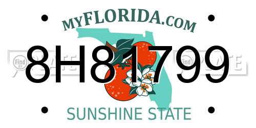 8H81799 Florida License Plate