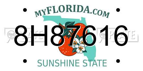 8H87616 Florida License Plate