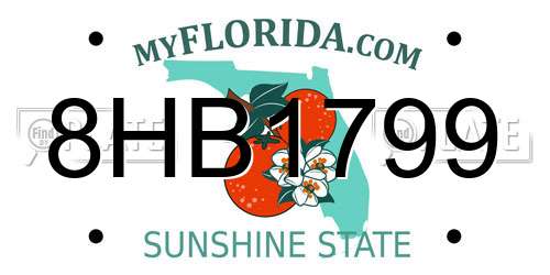8HB1799 Florida License Plate
