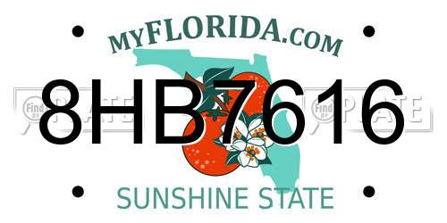 8HB7616 Florida License Plate