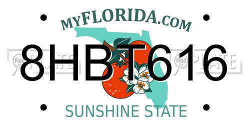 8HBT616 Florida License Plate