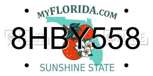 8HBY558 Florida License Plate