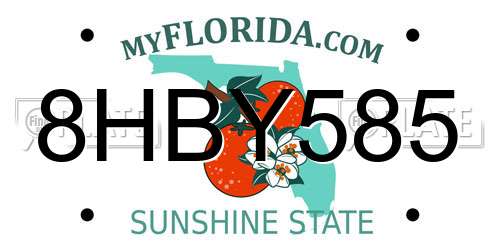 8HBY585 Florida License Plate