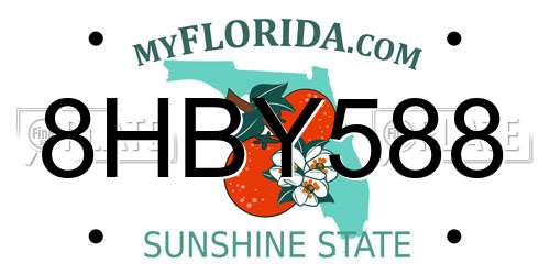 8HBY588 Florida License Plate