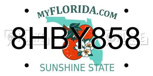 8HBY858 Florida License Plate