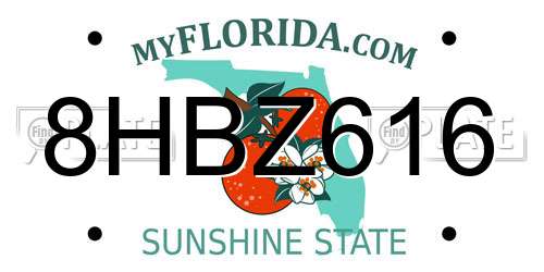 8HBZ616 Florida License Plate