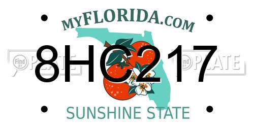 8HC217 Florida License Plate