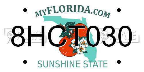 8HCT030 Florida License Plate