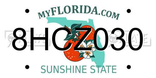 8HCZ030 Florida License Plate
