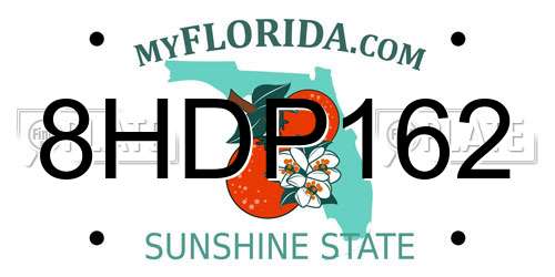 8HDP162 Florida License Plate
