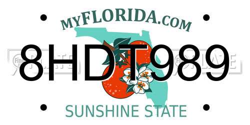 8HDT989 Florida License Plate
