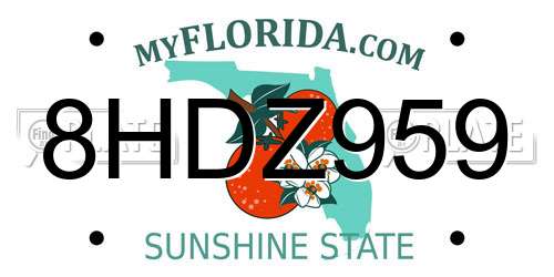 8HDZ959 Florida License Plate