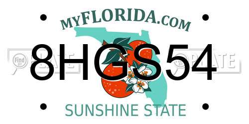 8HGS54 Florida License Plate