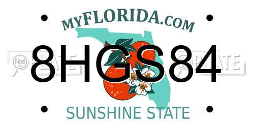 8HGS84 Florida License Plate
