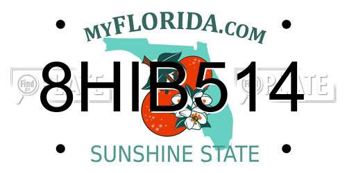 8HIB514 Florida License Plate
