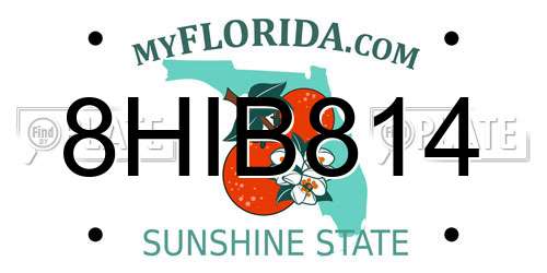 8HIB814 Florida License Plate