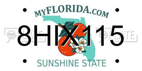 8HIX115 Florida License Plate