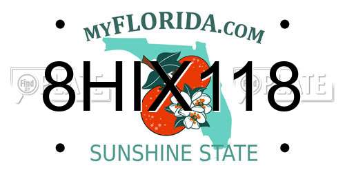 8HIX118 Florida License Plate