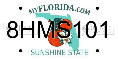 8HMS101 Florida License Plate