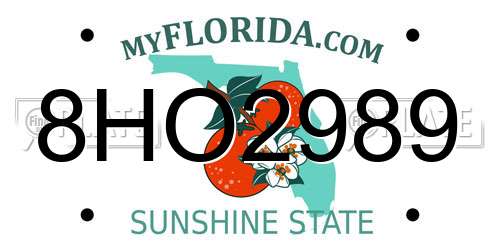 8HO2989 Florida License Plate