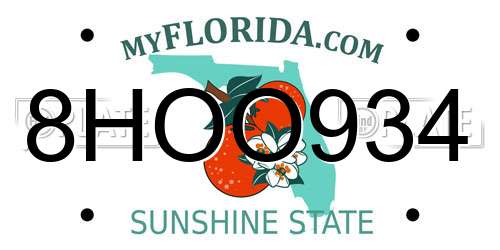 8HOO934 Florida License Plate