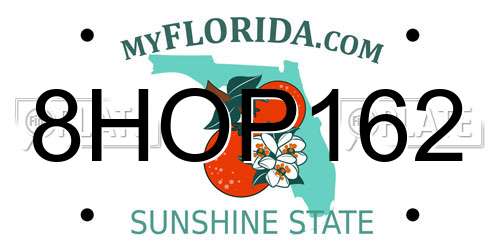 8HOP162 Florida License Plate