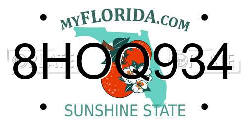 8HOQ934 Florida License Plate
