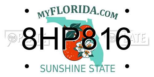 8HP816 Florida License Plate