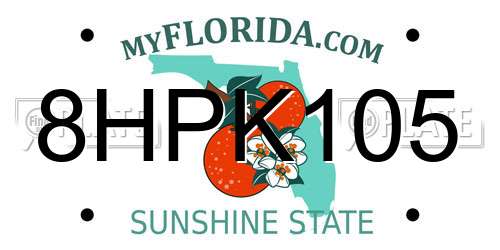 8HPK105 Florida License Plate