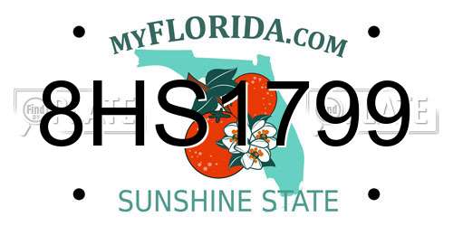 8HS1799 Florida License Plate
