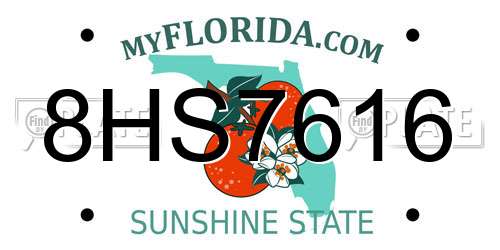 8HS7616 Florida License Plate