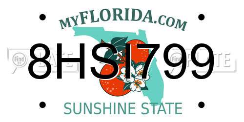 8HSI799 Florida License Plate