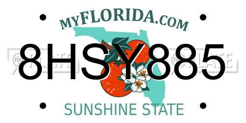 8HSY885 Florida License Plate