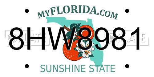 8HW8981 Florida License Plate