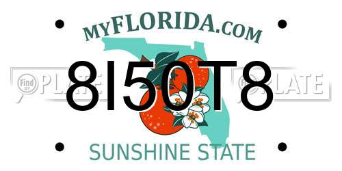8I50T8 Florida License Plate
