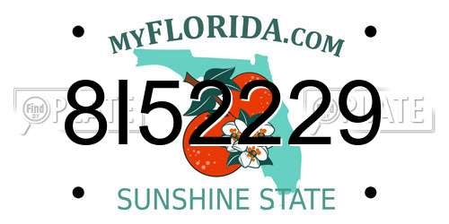 8I52229 Florida License Plate