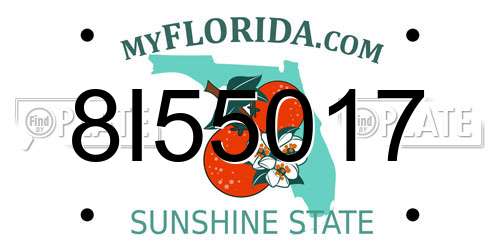 8I55017 Florida License Plate